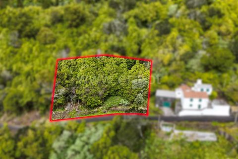 Helårsgrund i Lajes do Pico, Pico, Lajes do Pico - € 19.000 | Ref: 374240193 - foto 1