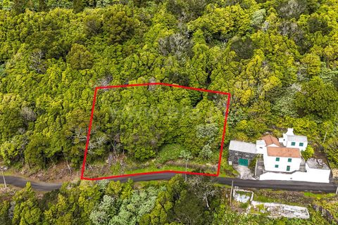 Helårsgrund i Lajes do Pico, Pico, Lajes do Pico - € 19.000 | Ref: 374240193 - foto 2