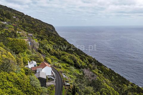 Helårsgrund i Lajes do Pico, Pico, Lajes do Pico - € 19.000 | Ref: 374240193 - foto 6