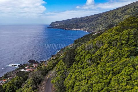 Helårsgrund i Lajes do Pico, Pico, Lajes do Pico - € 19.000 | Ref: 374240193 - foto 7