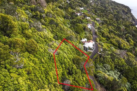 Helårsgrund i Lajes do Pico, Pico, Lajes do Pico - € 19.000 | Ref: 374240193 - foto 8