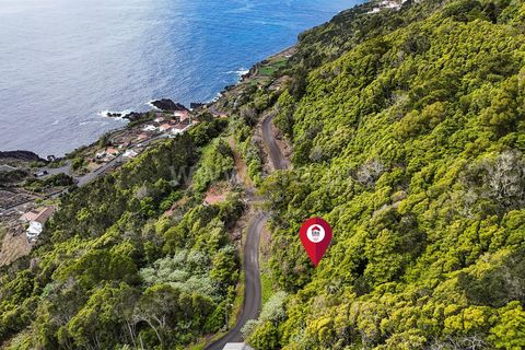 Helårsgrund i Lajes do Pico, Pico, Lajes do Pico - € 19.000 | Ref: 374240193 - foto 9