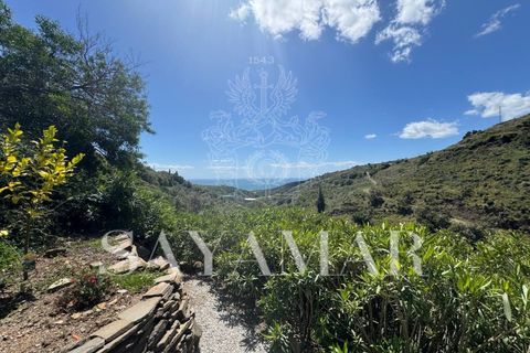 Villa a Sayalonga, Malaga, Sayalonga - € 490.000 | Ref: VH2504 - foto 48