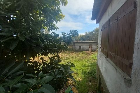 Villa i Ponte de Lima, Viana do Castelo, Ponte de Lima - € 275.000 | Ref: PTL-016-012 - foto 17
