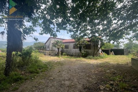 Villa i Ponte de Lima, Viana do Castelo, Ponte de Lima - € 275.000 | Ref: PTL-016-012 - foto 10