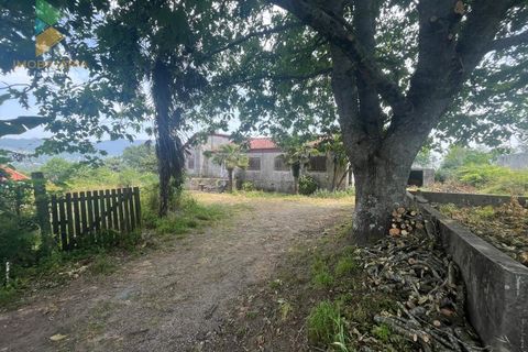 Villa i Ponte de Lima, Viana do Castelo, Ponte de Lima - € 275.000 | Ref: PTL-016-012 - foto 11
