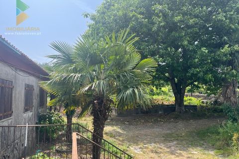 Villa i Ponte de Lima, Viana do Castelo, Ponte de Lima - € 275.000 | Ref: PTL-016-012 - foto 16