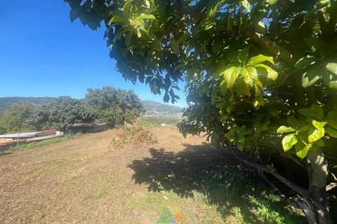 Villa i Ponte de Lima, Viana do Castelo, Ponte de Lima - € 275.000 | Ref: PTL-016-012 - foto 20