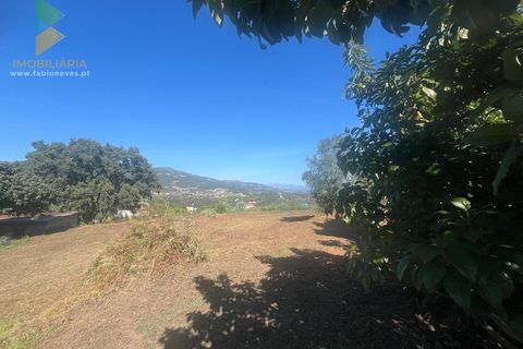 Villa i Ponte de Lima, Viana do Castelo, Ponte de Lima - € 275.000 | Ref: PTL-016-012 - foto 22