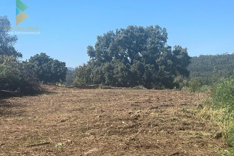 Villa i Ponte de Lima, Viana do Castelo, Ponte de Lima - € 275.000 | Ref: PTL-016-012 - foto 23
