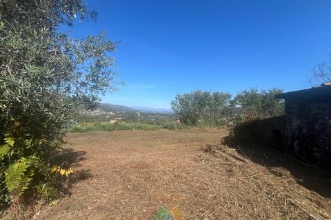 Villa i Ponte de Lima, Viana do Castelo, Ponte de Lima - € 275.000 | Ref: PTL-016-012 - foto 24