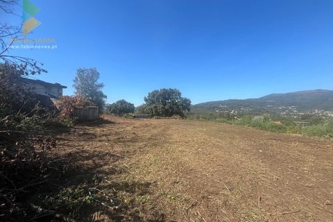 Villa i Ponte de Lima, Viana do Castelo, Ponte de Lima - € 275.000 | Ref: PTL-016-012 - foto 30