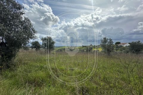 Helårsgrund i Tomar, Santarem, Tomar - € 200.000 | Ref: CCD_600 - foto 6