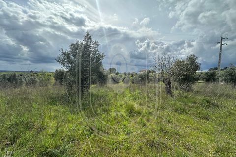 Helårsgrund i Tomar, Santarem, Tomar - € 200.000 | Ref: CCD_600 - foto 1