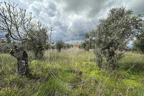 Helårsgrund i Tomar, Santarem, Tomar - € 200.000 | Ref: CCD_600 - foto 12