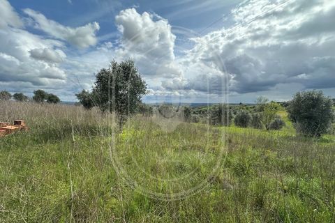 Helårsgrund i Tomar, Santarem, Tomar - € 200.000 | Ref: CCD_600 - foto 14