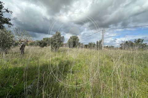 Helårsgrund i Tomar, Santarem, Tomar - € 200.000 | Ref: CCD_600 - foto 16