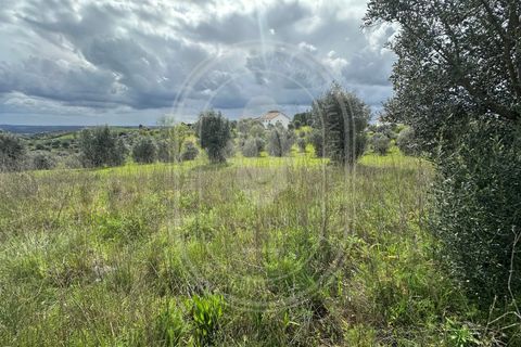 Helårsgrund i Tomar, Santarem, Tomar - € 200.000 | Ref: CCD_600 - foto 17