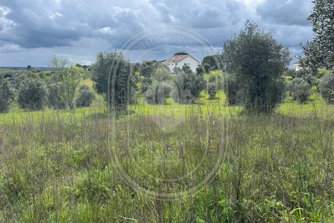 Helårsgrund i Tomar, Santarem, Tomar - € 200.000 | Ref: CCD_600 - foto 18