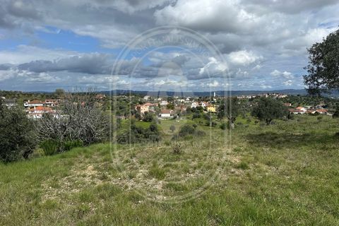 Helårsgrund i Tomar, Santarem, Tomar - € 200.000 | Ref: CCD_600 - foto 22