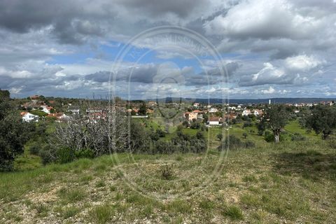Helårsgrund i Tomar, Santarem, Tomar - € 200.000 | Ref: CCD_600 - foto 24