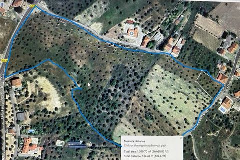 Helårsgrund i Tomar, Santarem, Tomar - € 200.000 | Ref: CCD_600 - foto 26