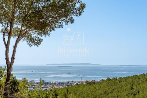 Villa i Ibiza, Ibiza, Ibiza - € 10.000.000 | Ref: 1144 - foto 8