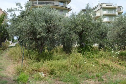 Helårsgrund i Vasto, Chieti, Vasto - € 65.000 | Ref: 267 - foto 3