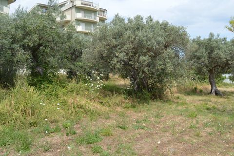 Helårsgrund i Vasto, Chieti, Vasto - € 65.000 | Ref: 267 - foto 4