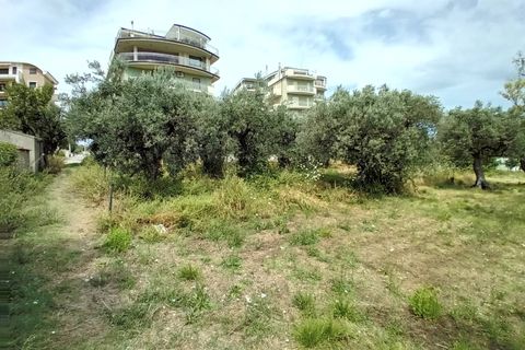 Helårsgrund i Vasto, Chieti, Vasto - € 65.000 | Ref: 267 - foto 5