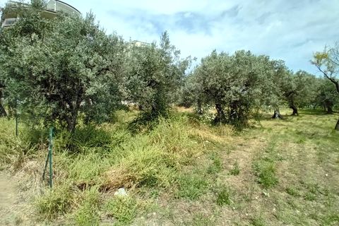Helårsgrund i Vasto, Chieti, Vasto - € 65.000 | Ref: 267 - foto 8