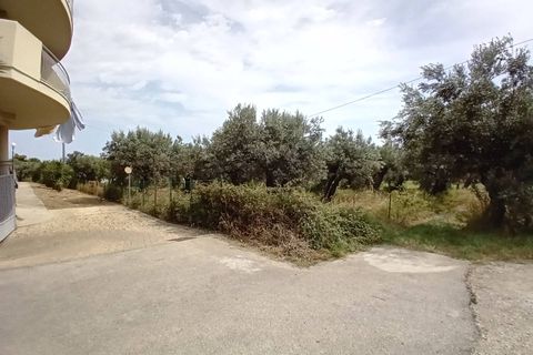 Helårsgrund i Vasto, Chieti, Vasto - € 65.000 | Ref: 267 - foto 9