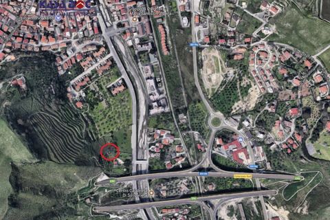 Helårsgrund i Catanzaro, Catanzaro, Catanzaro - € 450.000 | Ref: 1062/T - foto 1