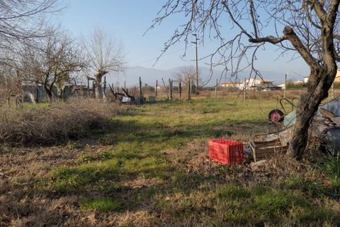 Helårsgrund i Pontedera, Pisa, Pontedera - € 700.000 | Ref: Pi2023049 - foto 4