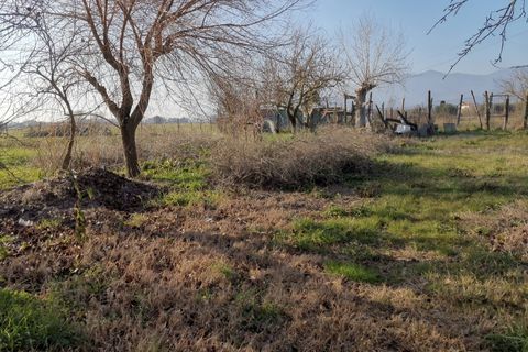 Helårsgrund i Pontedera, Pisa, Pontedera - € 700.000 | Ref: Pi2023049 - foto 5