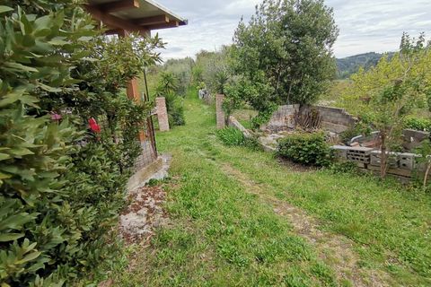 Villa a Palaia, Pisa, Palaia - € 273.000 | Ref: PI2023099 - foto 18