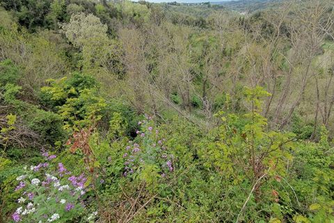 Villa a Palaia, Pisa, Palaia - € 273.000 | Ref: PI2023099 - foto 19