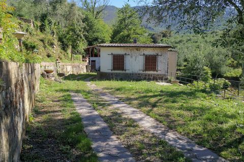 Villa i Calci, Pisa, Calci - € 350.000 | Ref: DV2024111 - foto 3