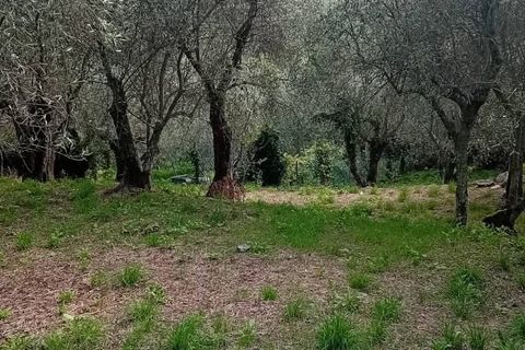 Villa i Calci, Pisa, Calci - € 350.000 | Ref: DV2024111 - foto 15