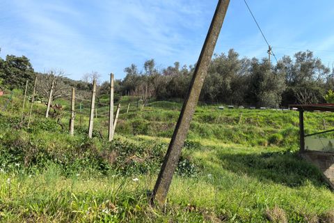 Villa a Buti, Pisa, Buti - € 185.000 | Ref: DV2025046 - foto 34