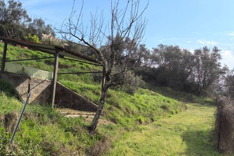 Villa a Buti, Pisa, Buti - € 185.000 | Ref: DV2025046 - foto 35
