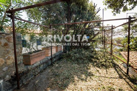 Villa a Orbetello, Grosseto, Orbetello - € 4.500/mes | Ref: MRL torre san biagio - foto 28