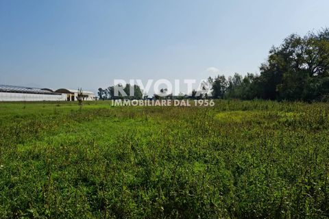 Villa a Sabaudia, Latina, Sabaudia - € 429.000 | Ref: FSS SABAUDIA - foto 7