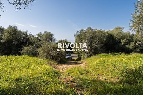 Tomt i Alghero, Sassari, Alghero - € 220 000 | Ref: ZV Fangal - foto 13