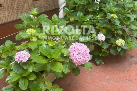 Lejlighed i Rome, Rome, Rome - € 365.000 | Ref: LM Spinazzola - foto 43