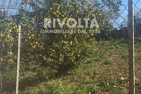 Lejlighed i Rome, Rome, Rome - € 365.000 | Ref: LM Spinazzola - foto 49