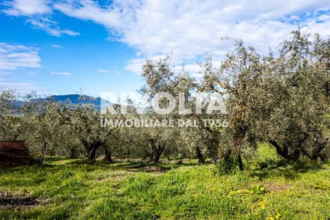 Villa i Forano, Rieti, Forano - € 249.000 | Ref: AAG FORANO - foto 40