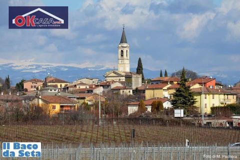 Terra a Sona, Verona, Sona - € 195.000 | Ref: 2959 - foto 6