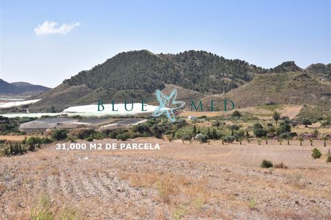 Landejendom i Mazarron, Murcia, Mazarron - € 349.000 | Ref: RINCONESMZ/10254 - foto 26