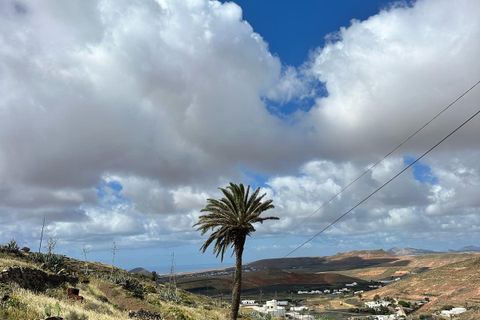 Terra a Teguise, Lanzarote, Teguise - € 160.000 | Ref: LVP1 - foto 9